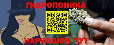 a pvp Жуковский