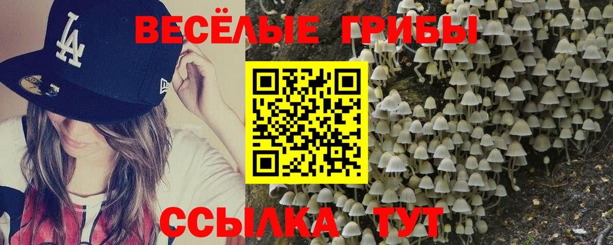 Псилоцибиновые грибы Cubensis Заинск